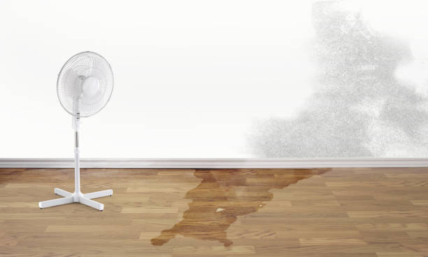 Best Local water damage restoration  in Goshen, IN