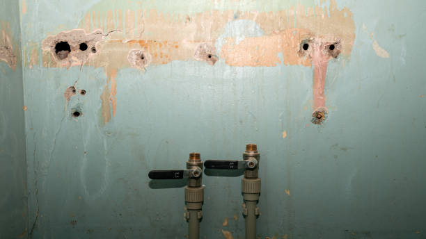 Best Water damage mitigation services  in Goshen, IN